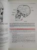ANATOMIA STOMATOLOGICZNA WOELFELA